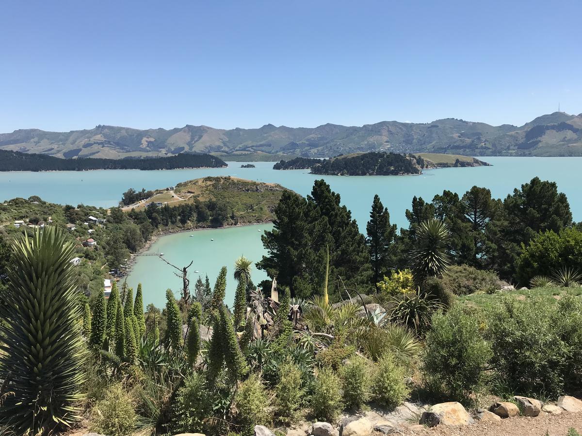 Church Bay Cabin: Sunny, Great Views Apartamento Lyttelton Exterior foto