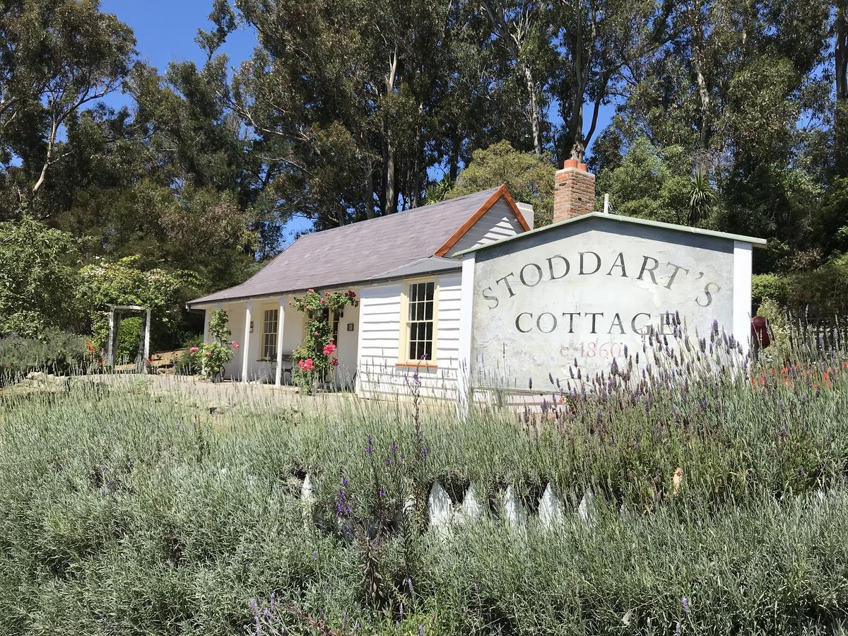 Church Bay Cabin: Sunny, Great Views Apartamento Lyttelton Exterior foto